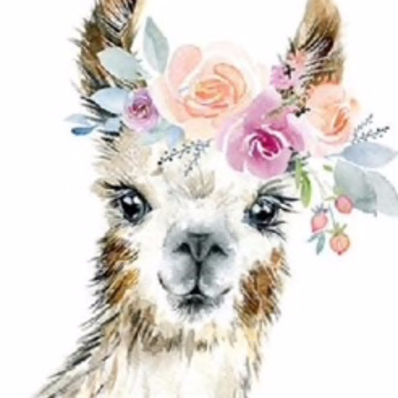 love_mama_llama